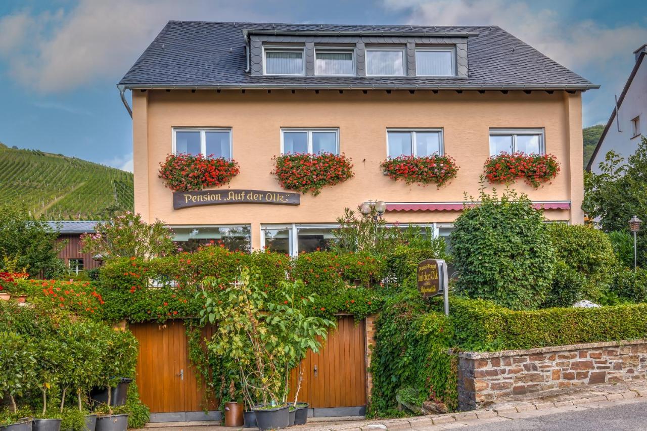 Pension Auf Der Olk Mit Roepertsmuehle Veldenz 외부 사진