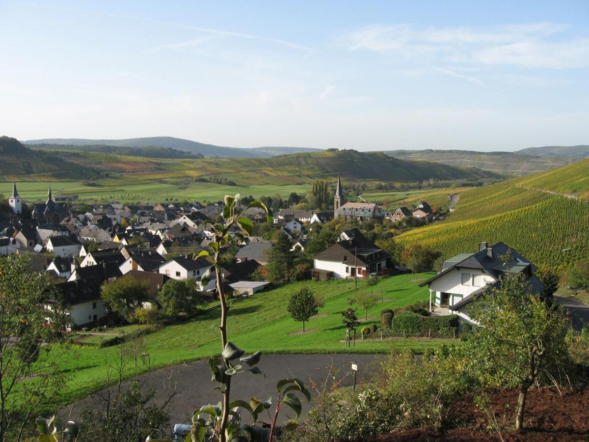 Pension Auf Der Olk Mit Roepertsmuehle Veldenz 외부 사진