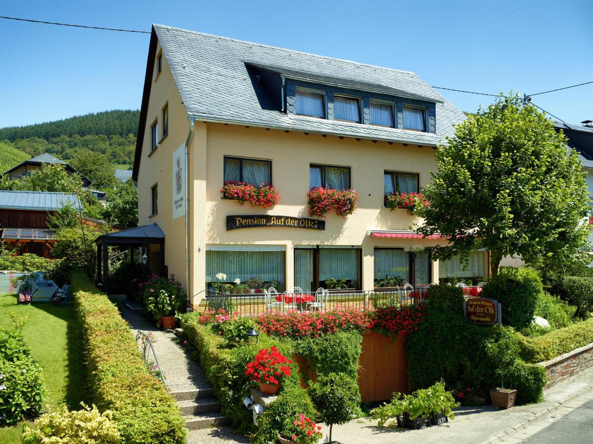 Pension Auf Der Olk Mit Roepertsmuehle Veldenz 외부 사진