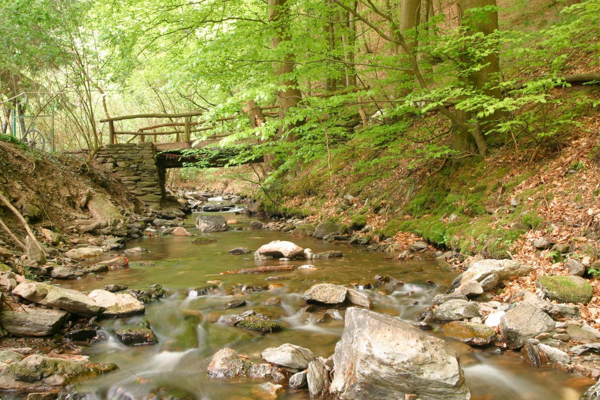 Pension Auf Der Olk Mit Roepertsmuehle Veldenz 외부 사진