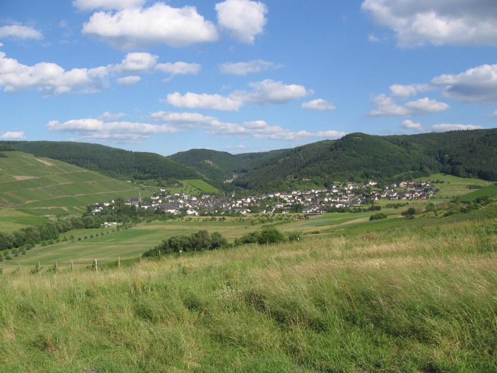 Pension Auf Der Olk Mit Roepertsmuehle Veldenz 외부 사진