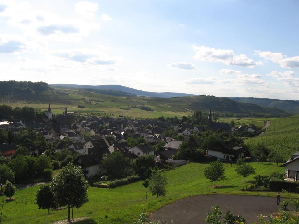 Pension Auf Der Olk Mit Roepertsmuehle Veldenz 외부 사진