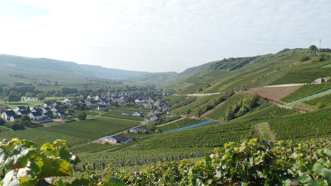 Pension Auf Der Olk Mit Roepertsmuehle Veldenz 외부 사진