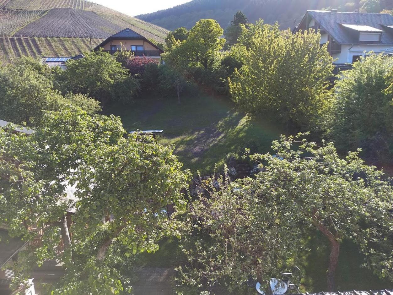 Pension Auf Der Olk Mit Roepertsmuehle Veldenz 외부 사진